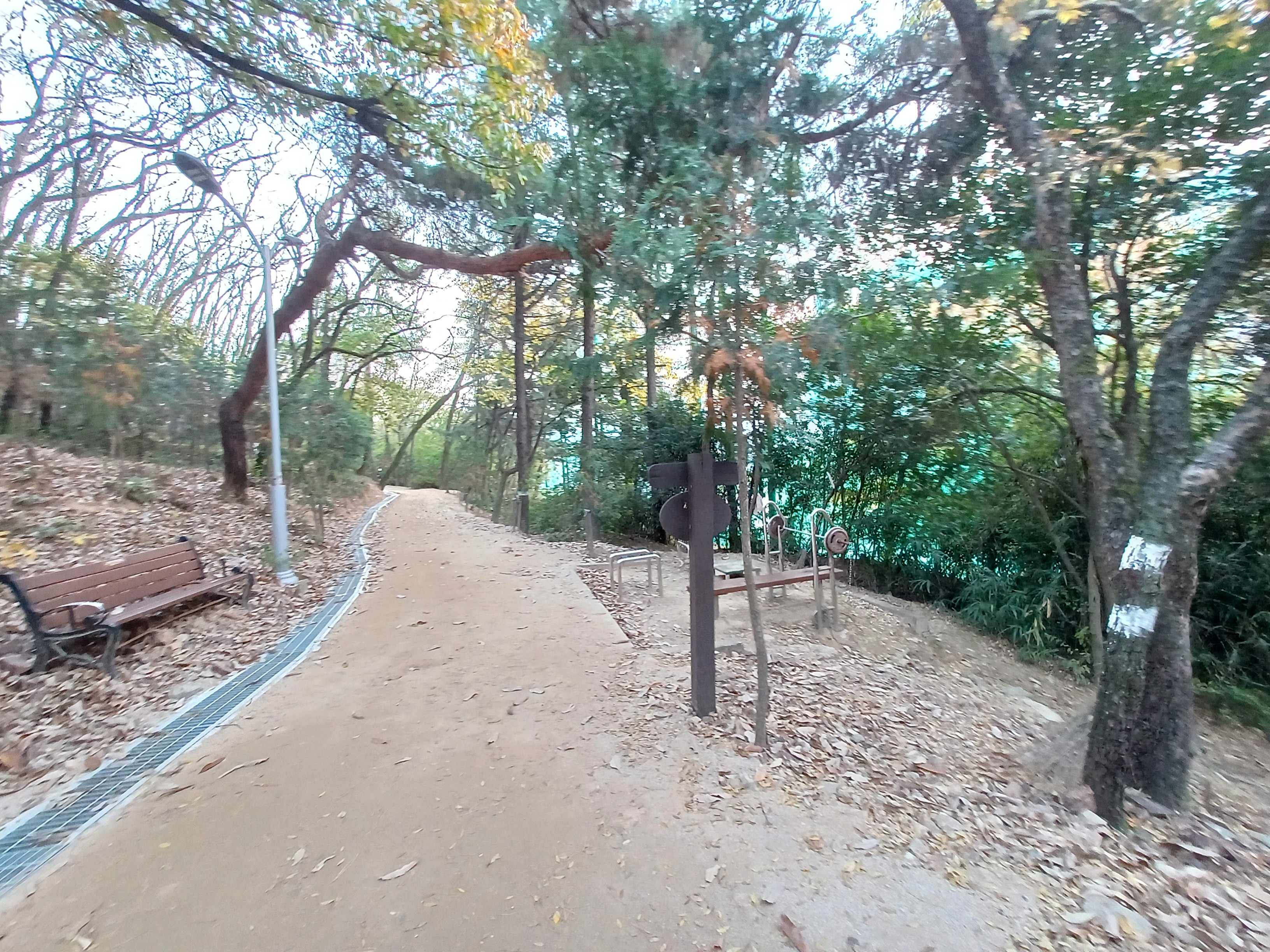 야시골공원 이미지