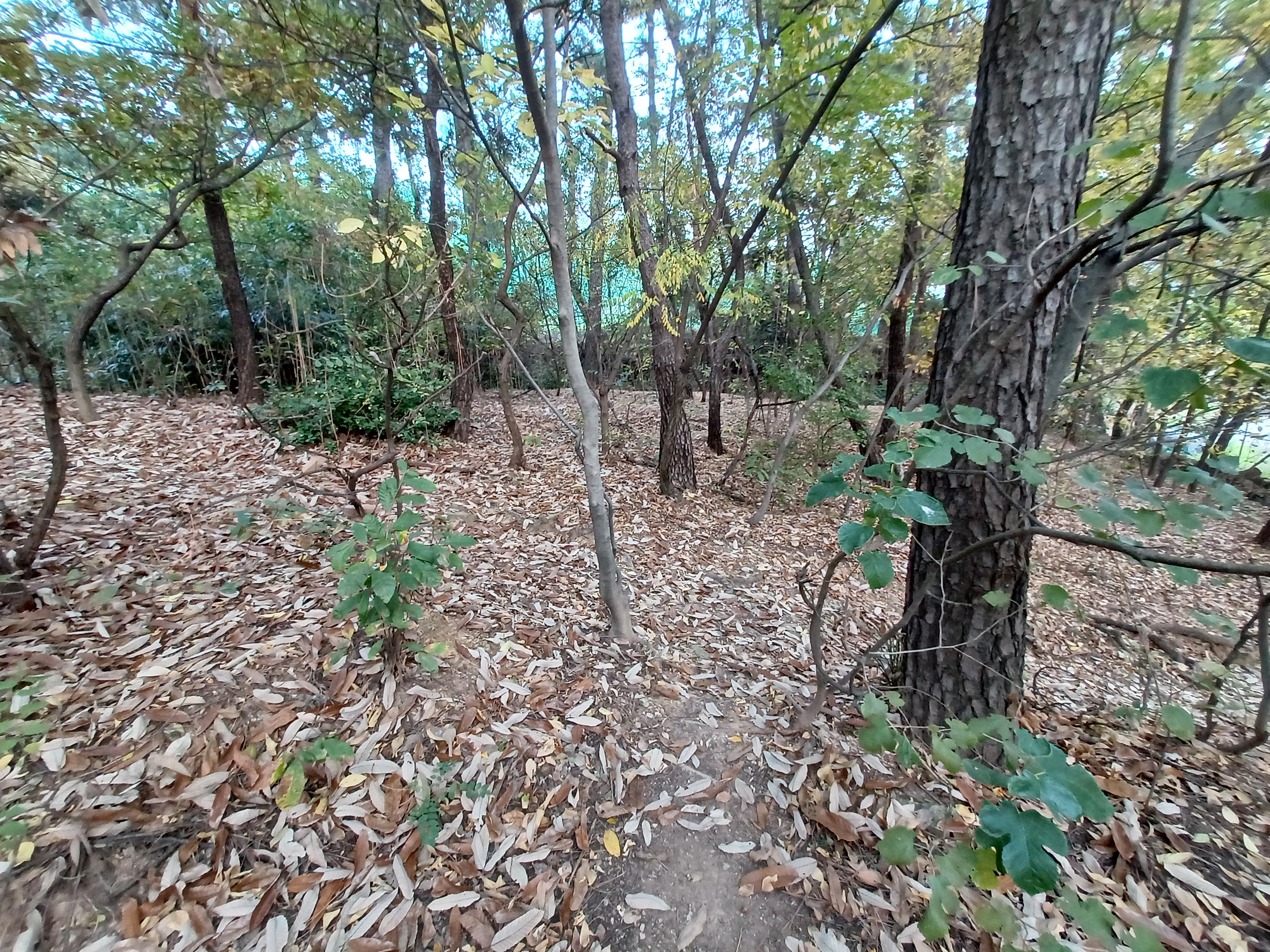 야시골공원 이미지