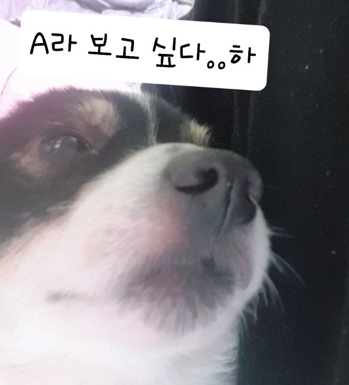 더허 이미지