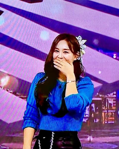다다플러스 이미지