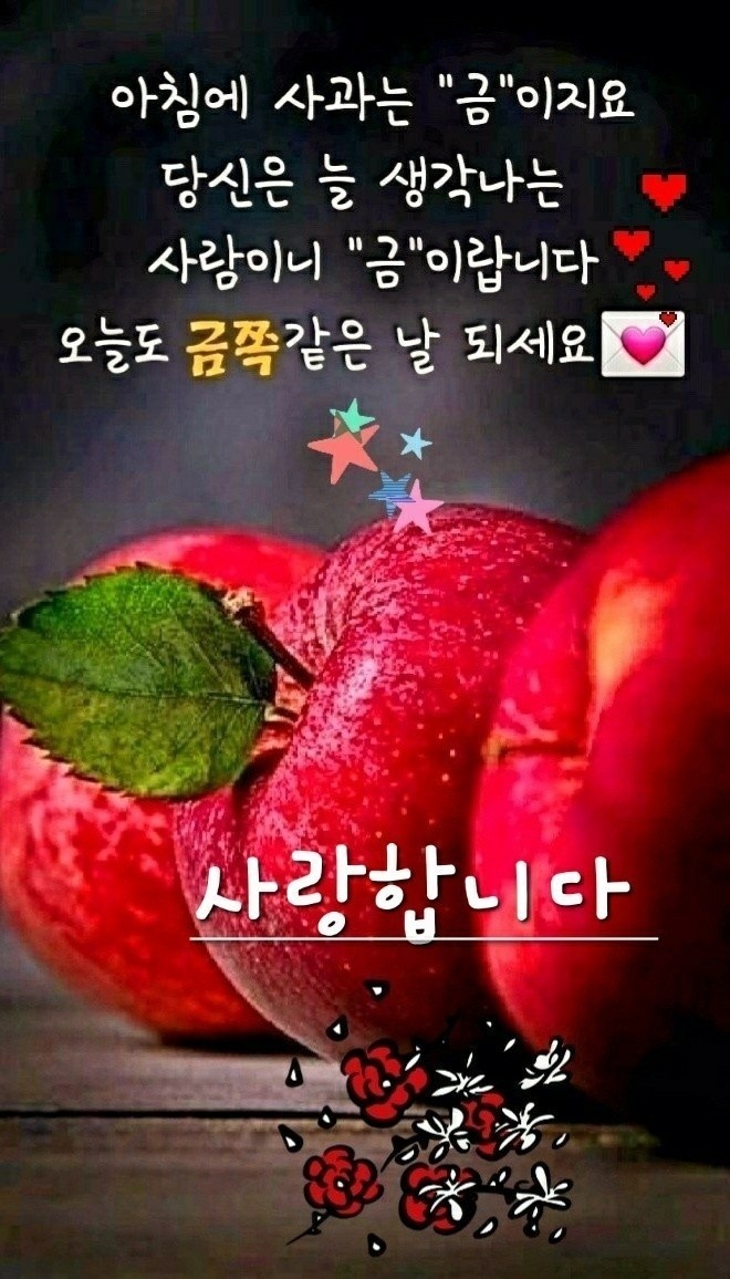 리빙스타 이미지