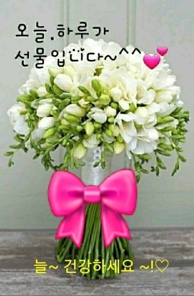 배지기 이미지