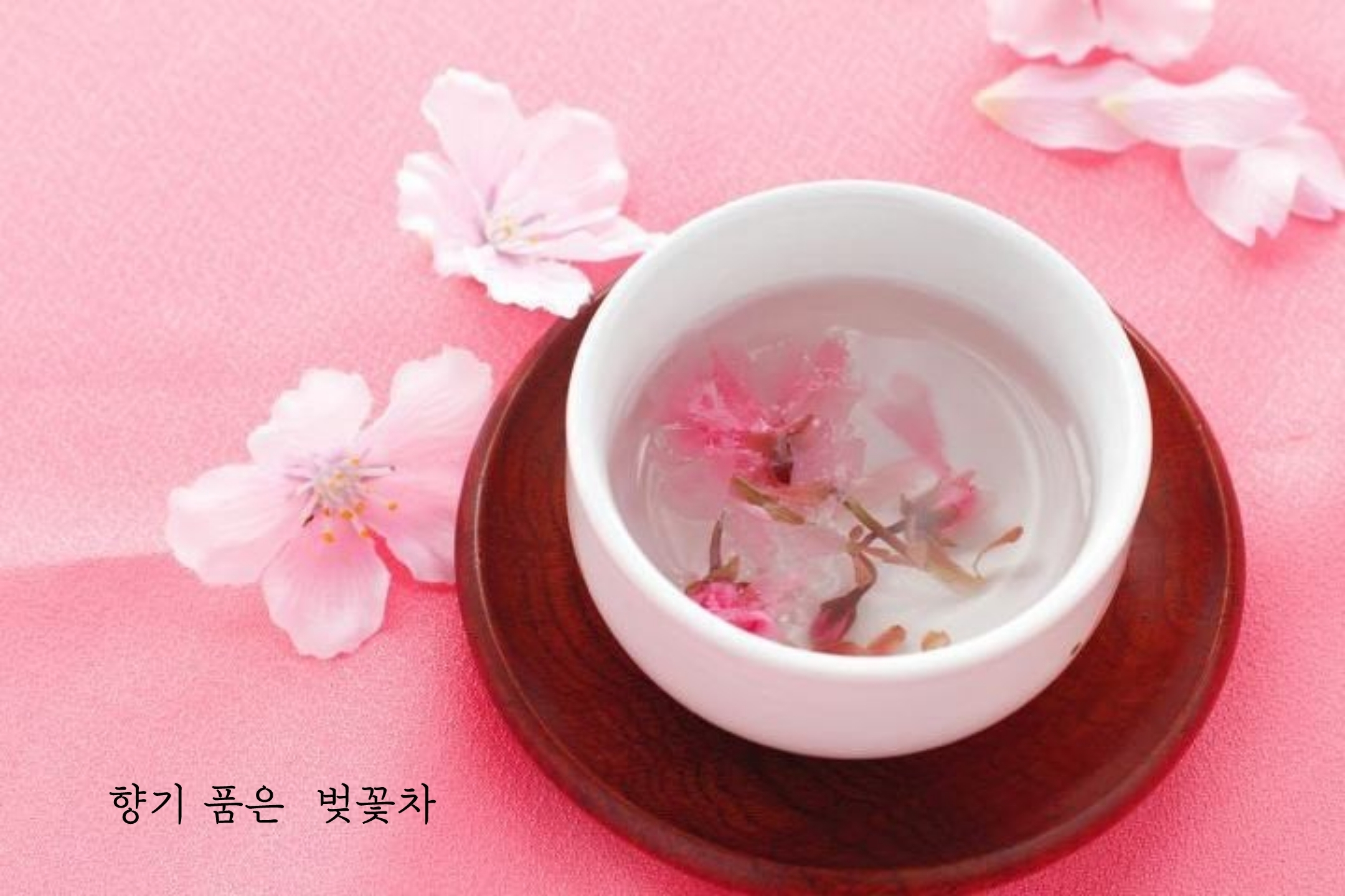 문다방 이미지