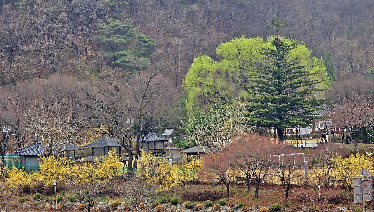 별천지 이미지