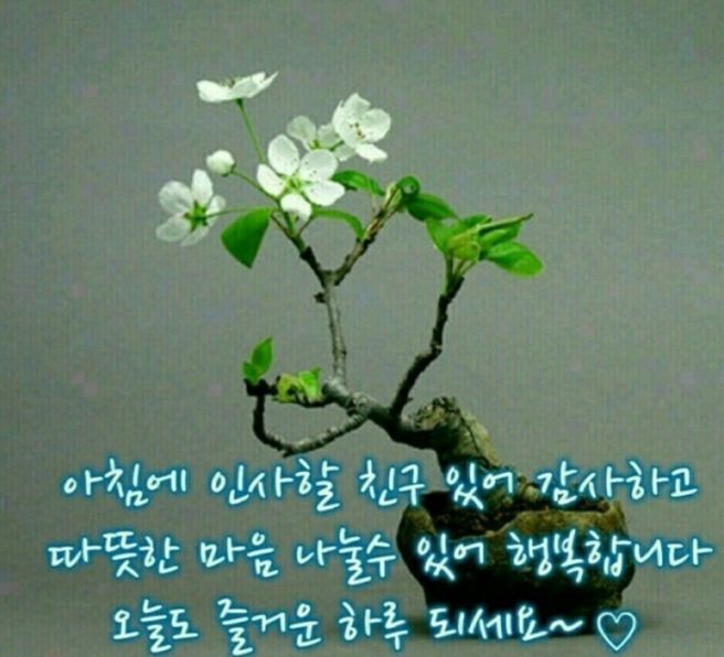 사랑방 이미지