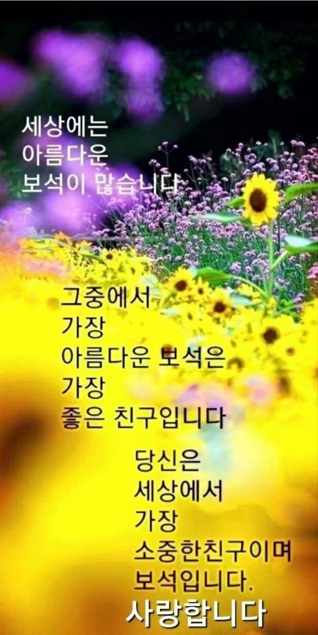 사랑방 이미지