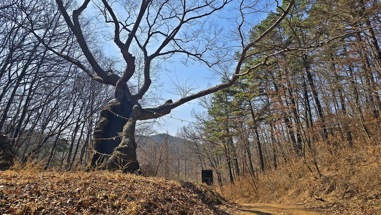 성치산 이미지