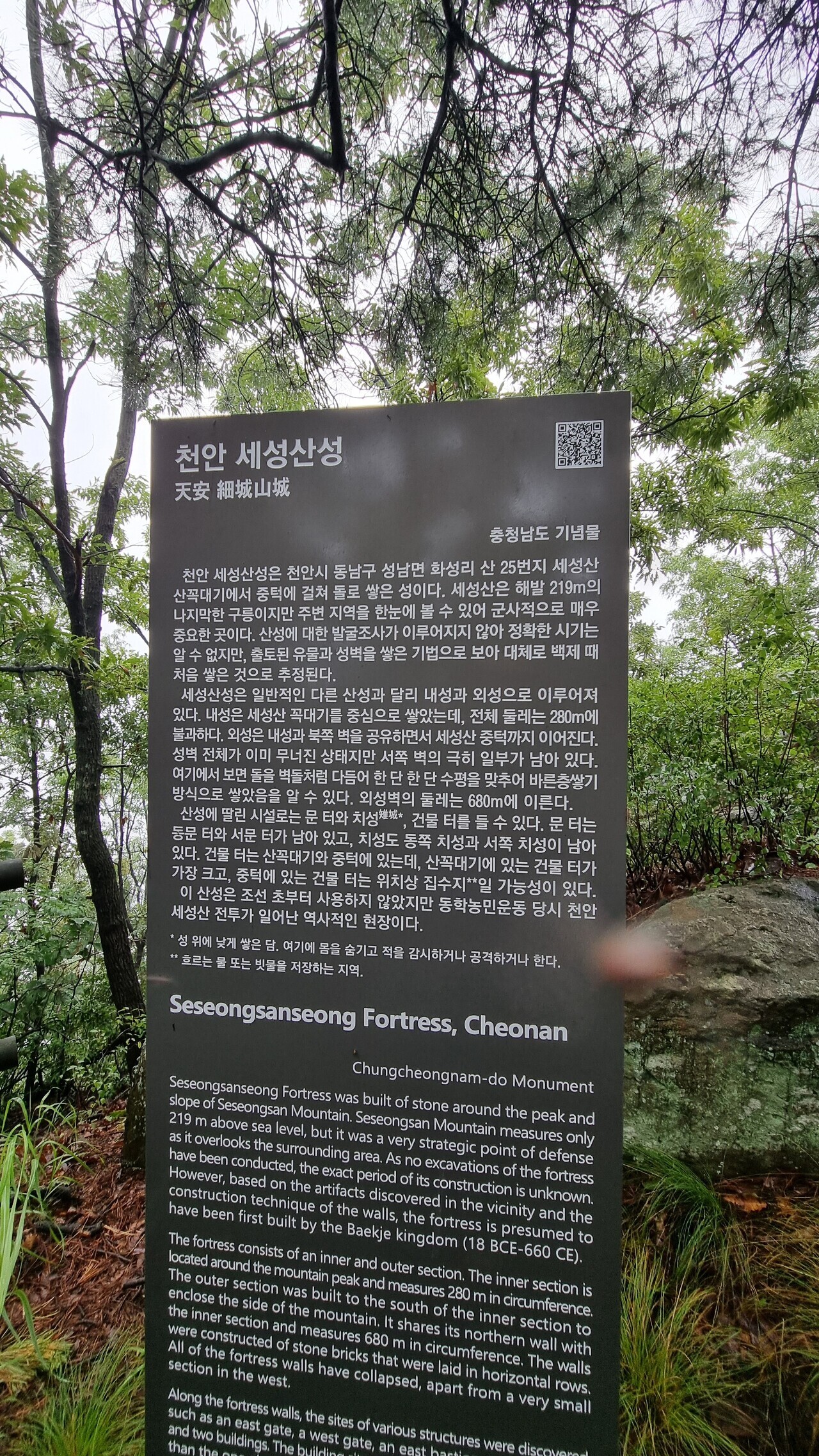 세성 이미지