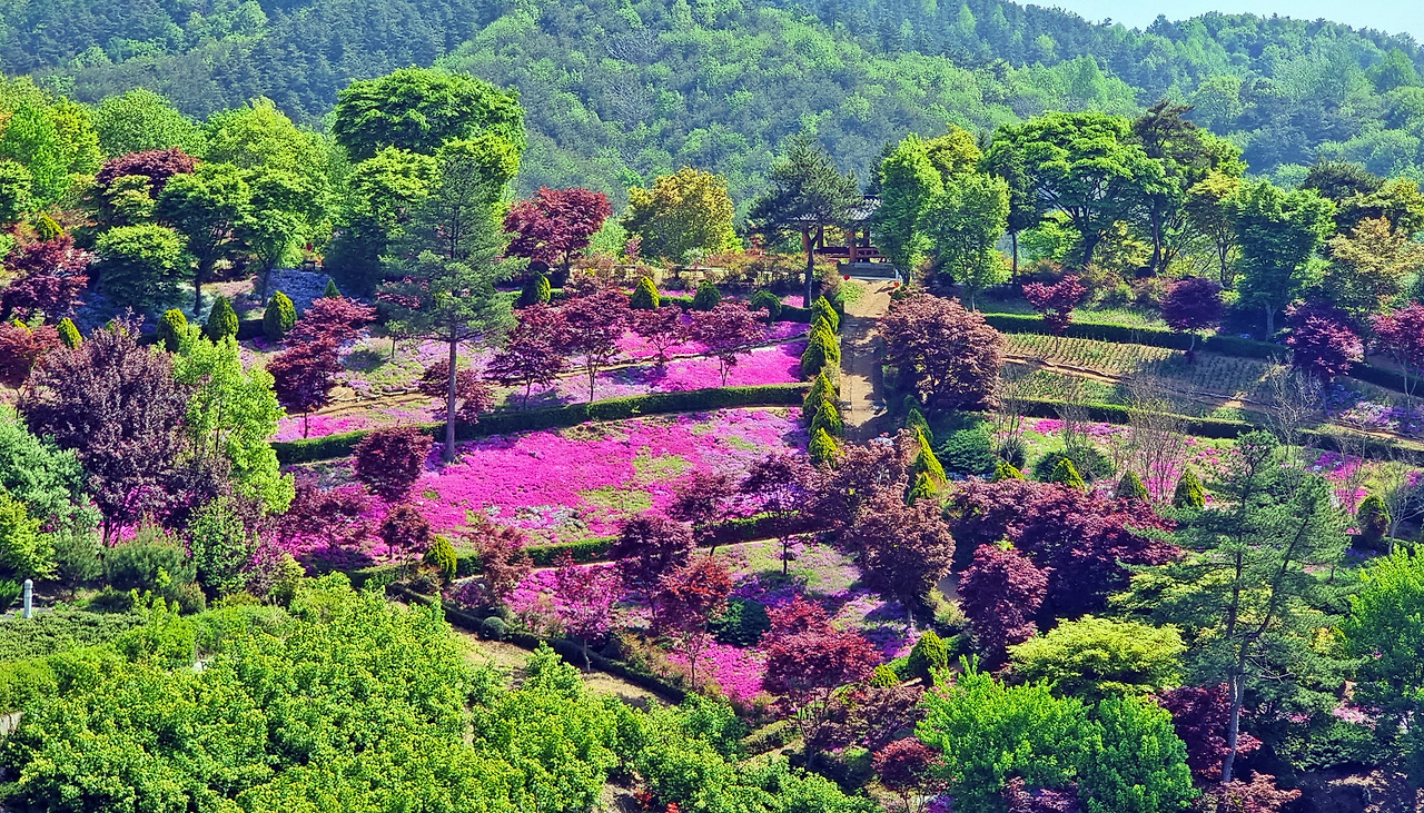 동산잔디 이미지