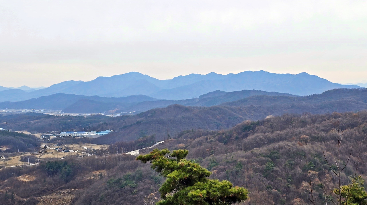봉화산 이미지