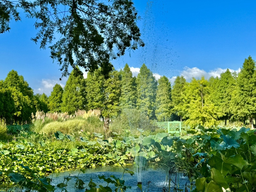 청산수목원 이미지