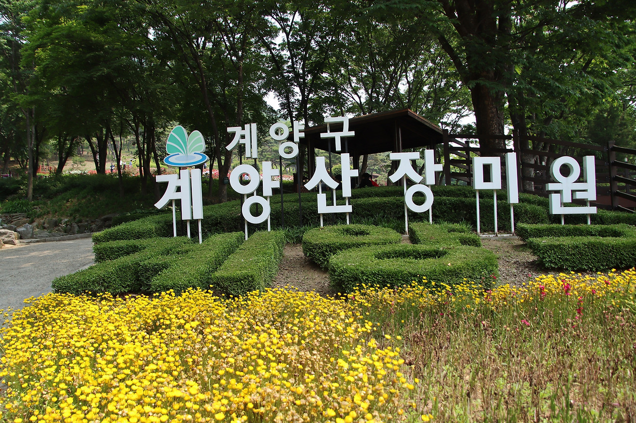 장미원 이미지