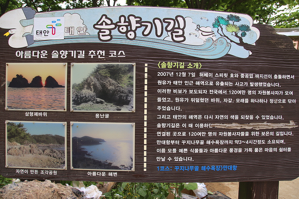 솔향기 이미지