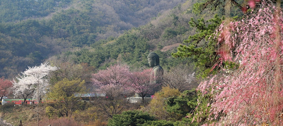 수양 이미지