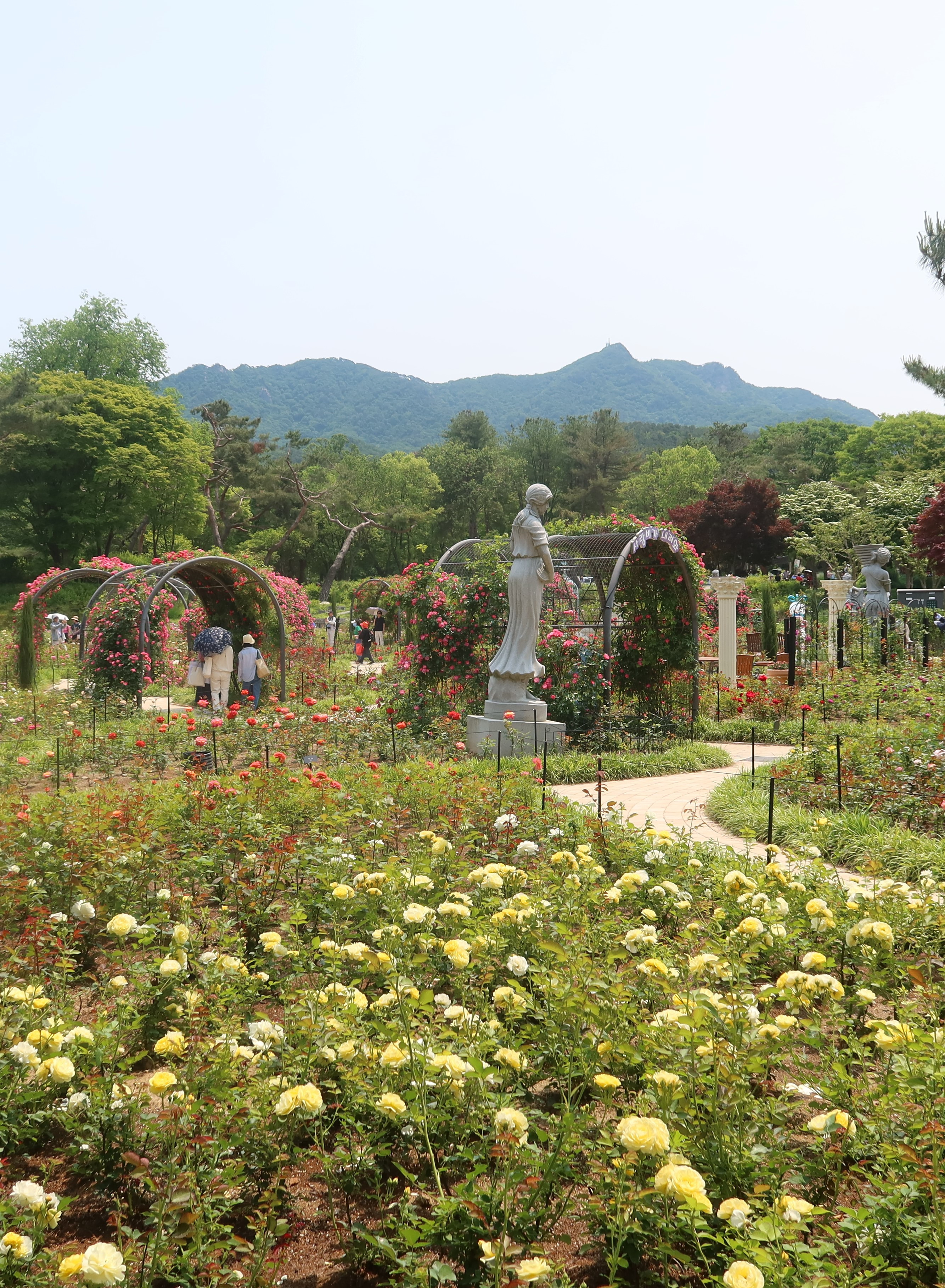 장미원 이미지