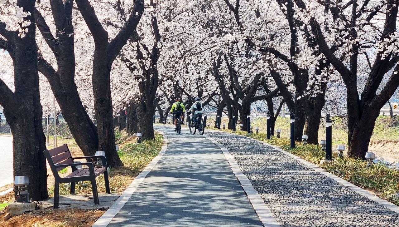 청안 이미지