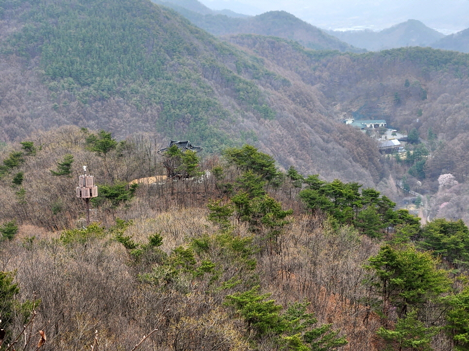 만인산 이미지