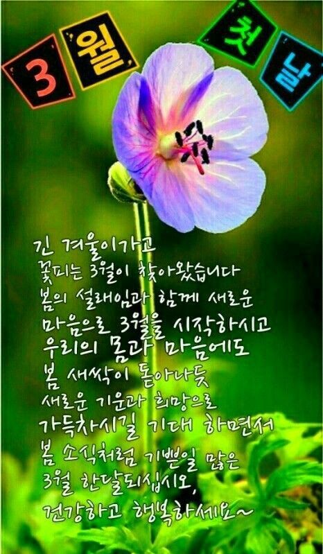 사랑방 이미지