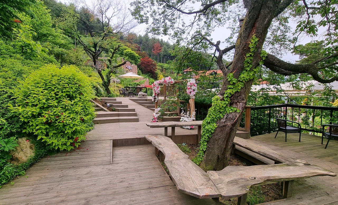 화수목 이미지
