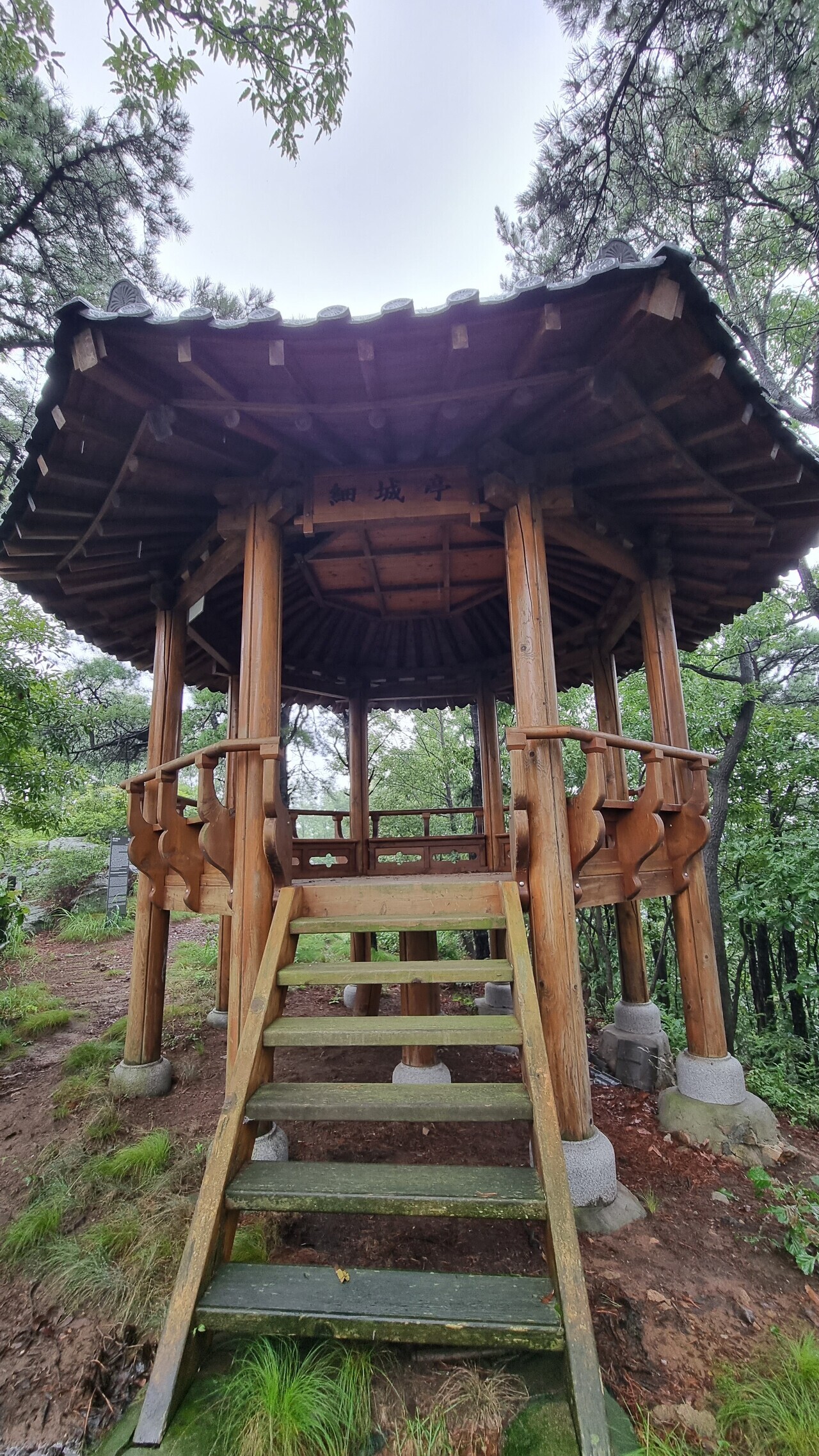 세성 이미지