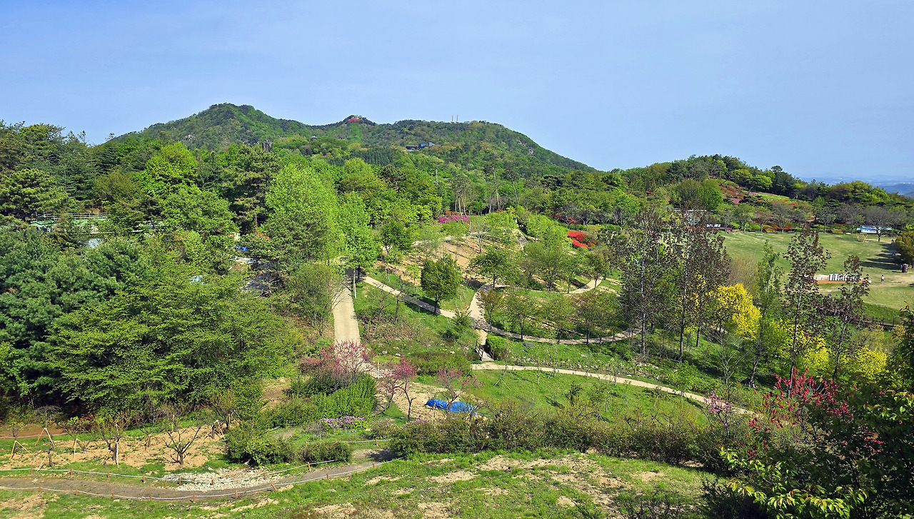 아산 이미지