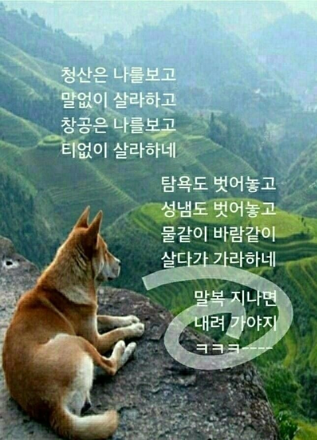 복 이미지