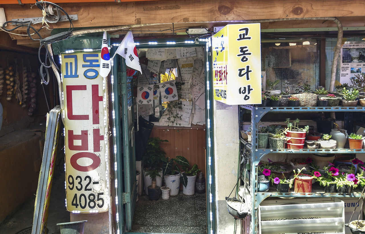 대룡 이미지