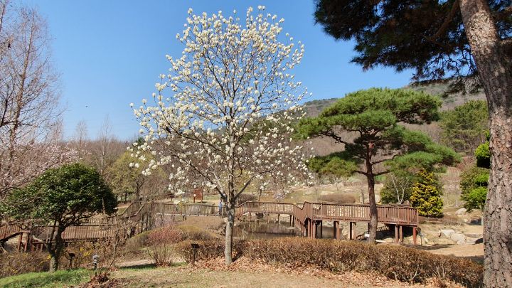 더봄날에 이미지