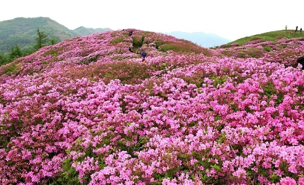 (주)하이얀 이미지