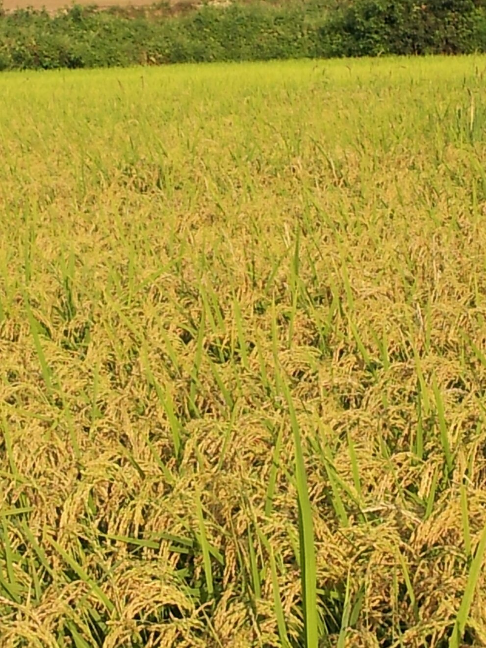 (주)지환 이미지