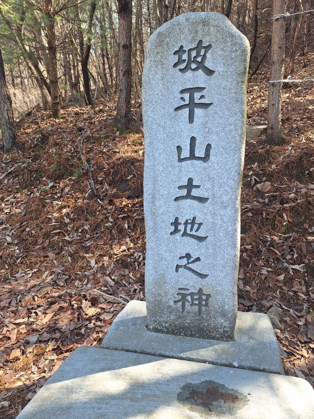 파평산 정상 이미지