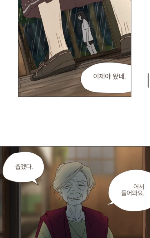 무지개다리 건넌 우리 강아지가 꿈에 나왔는데 저한테 하고 싶은 말이 있대요 | 인스티즈