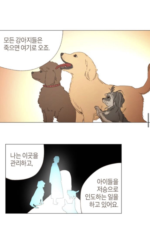 무지개다리 건넌 우리 강아지가 꿈에 나왔는데 저한테 하고 싶은 말이 있대요 | 인스티즈