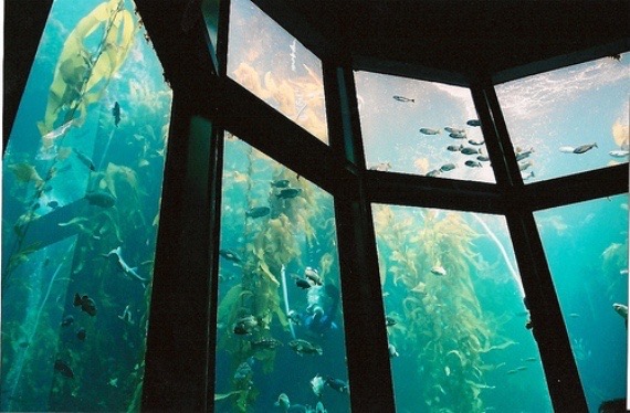 삼촌이 나한테 자기 건물을 물려주고 죽었는데요 그 건물 지하에…태어나 처음 보는게 있어요 | 인스티즈