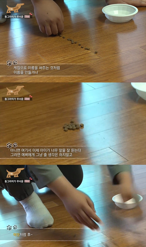 지독한 컨셉충이라 찐으로 알고 오해받는 유튜버 빠더너스 (feat.문쌤,문이병 등) | 인스티즈