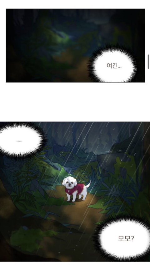 무지개다리 건넌 우리 강아지가 꿈에 나왔는데 저한테 하고 싶은 말이 있대요 | 인스티즈