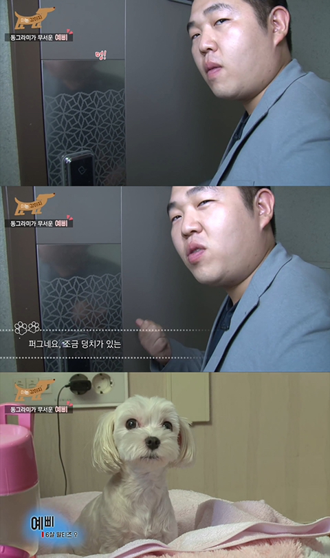 지독한 컨셉충이라 찐으로 알고 오해받는 유튜버 빠더너스 (feat.문쌤,문이병 등) | 인스티즈