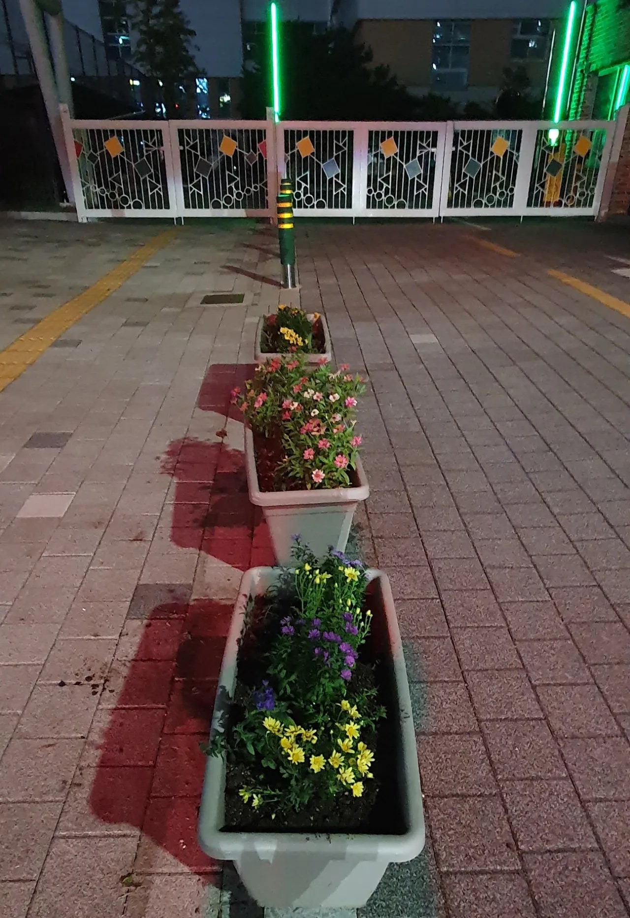 미목 이미지