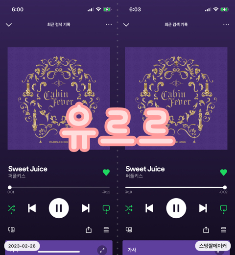 유르르 이미지