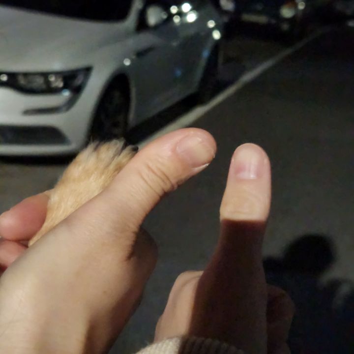 둘이두리 이미지