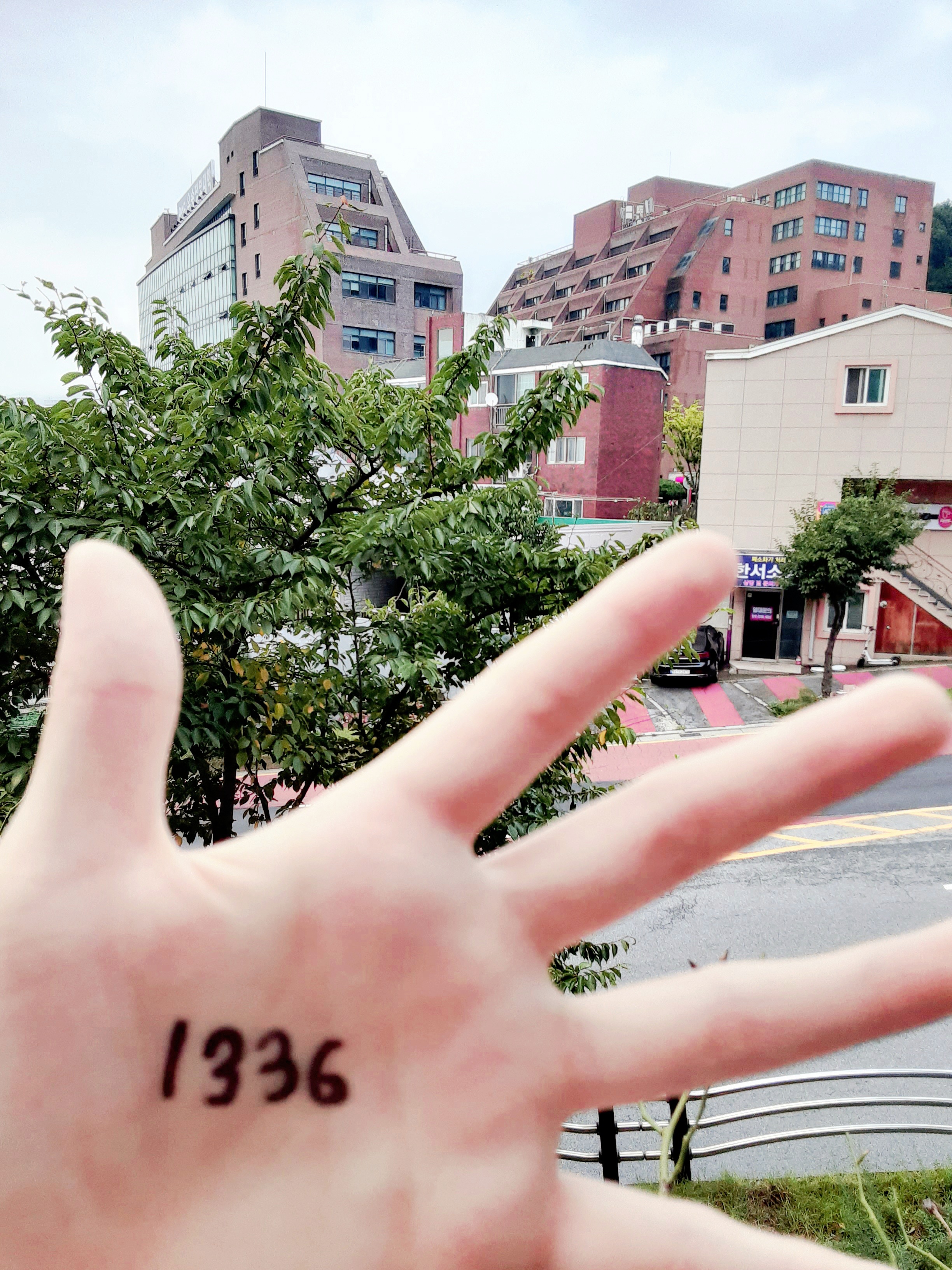 둘이두리 이미지