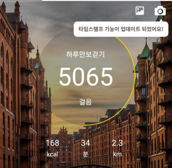 둘이두리 이미지