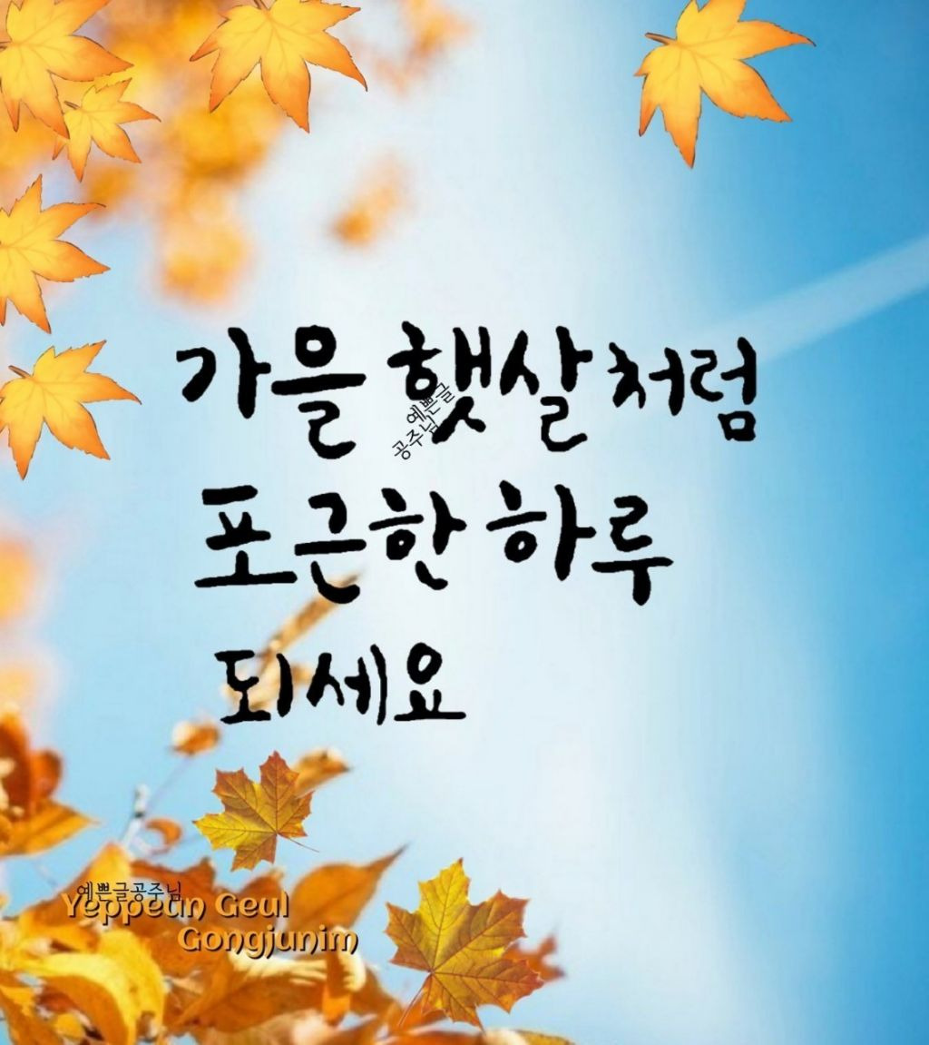 장날 이미지