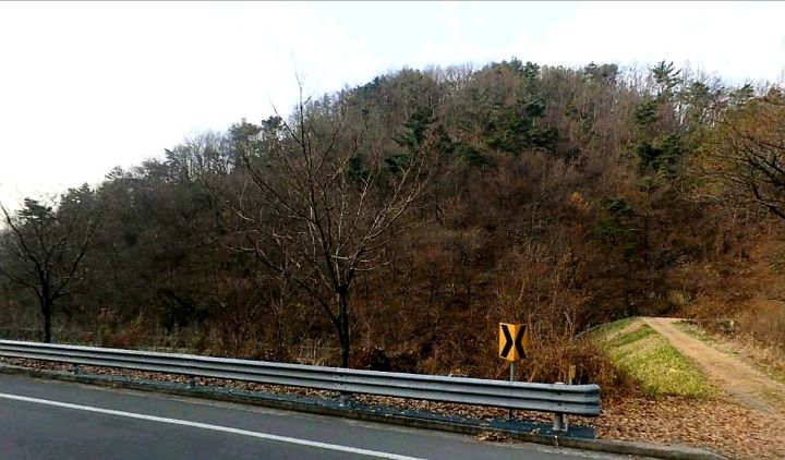 금천면사무소 이미지