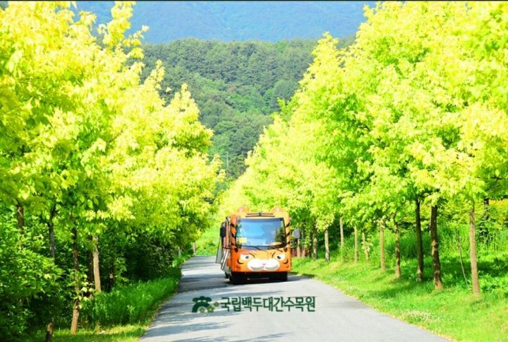 국립수목원 이미지