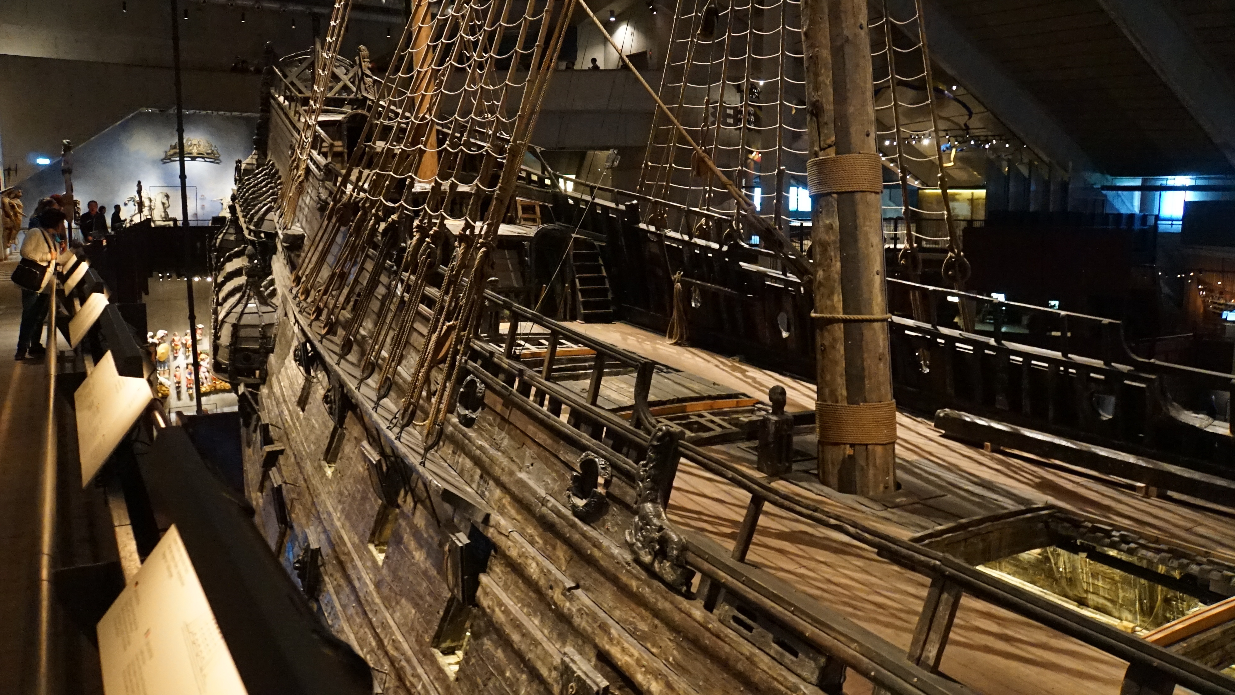 바사 (VASA) 이미지