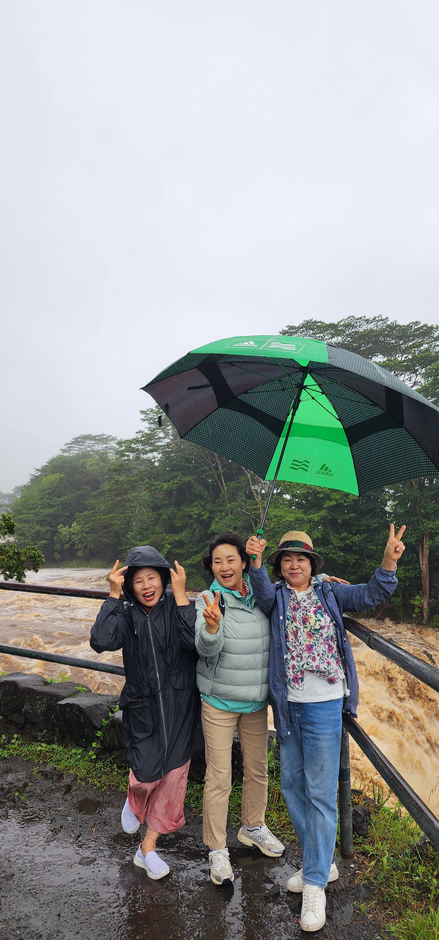 레인보우하와이 이미지