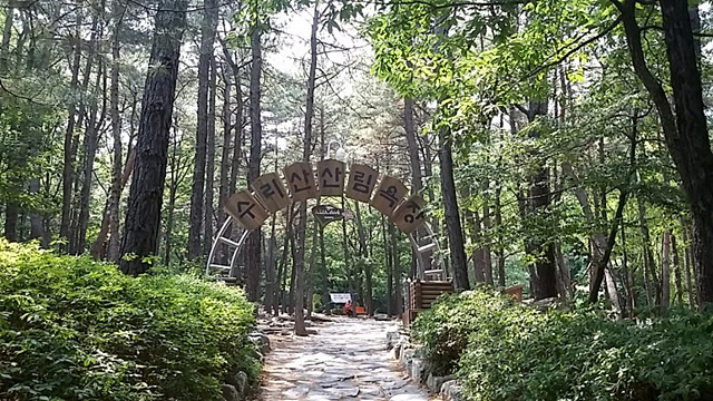 너구리산 이미지