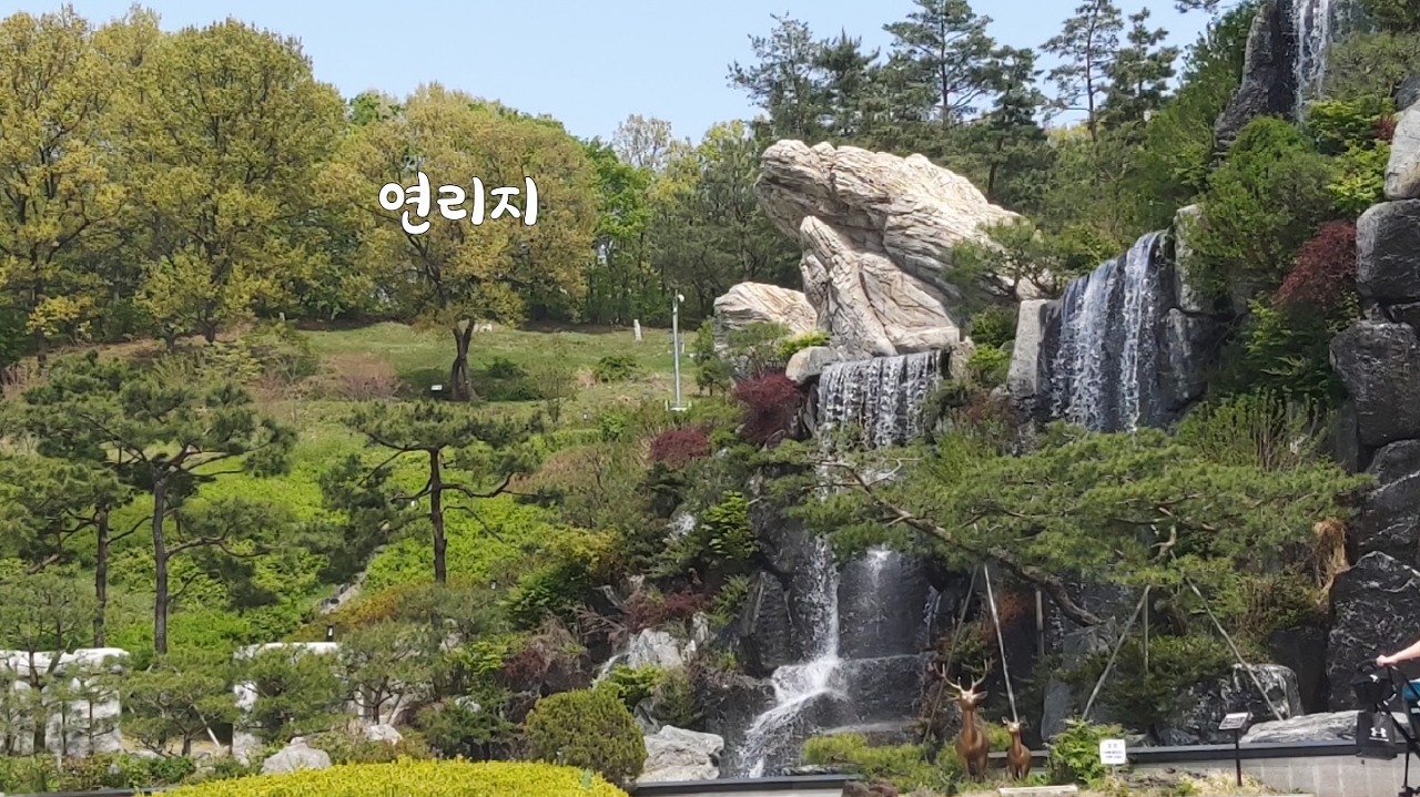 연리지 이미지