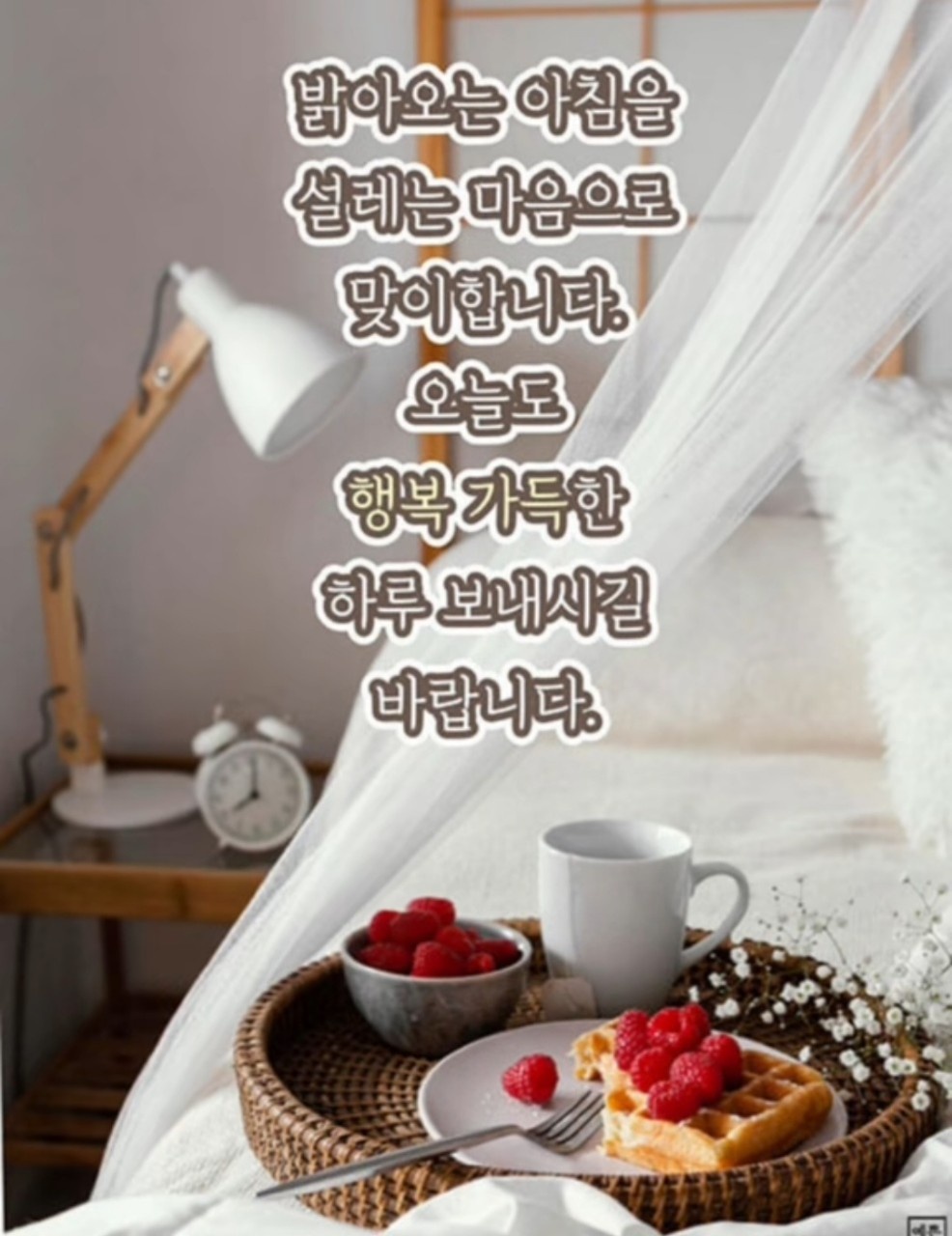 따뜻한마음 이미지